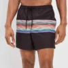 AE Pride 5.5" Rainbow Stripe Swim Trunk